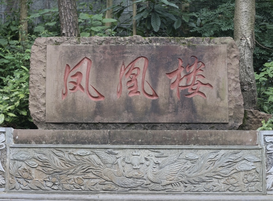 ˿ƌW(xu)l(xing)PɽW(xu)(x)֮